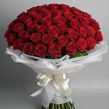 Букет 101 Красная роза Блэк Мэджик в Давыдово