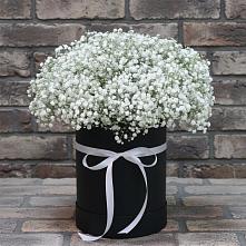 Цветочная композиция из Гипсофила в шляпной коробке #REPLACE_PRED# Давыдово