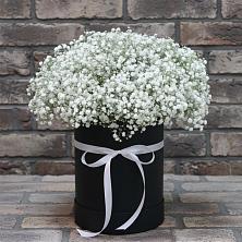 Цветочная композиция из Гипсофила в шляпной коробке в Давыдово