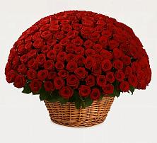 Премиум букет из: Розы в Давыдово