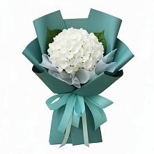 Букет цветов из:  Гортензия в Давыдово